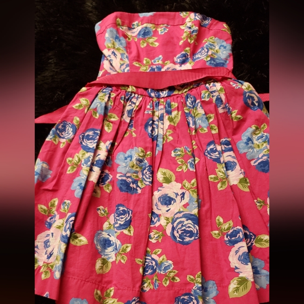 Floral Pink and Blue Women's Skirt